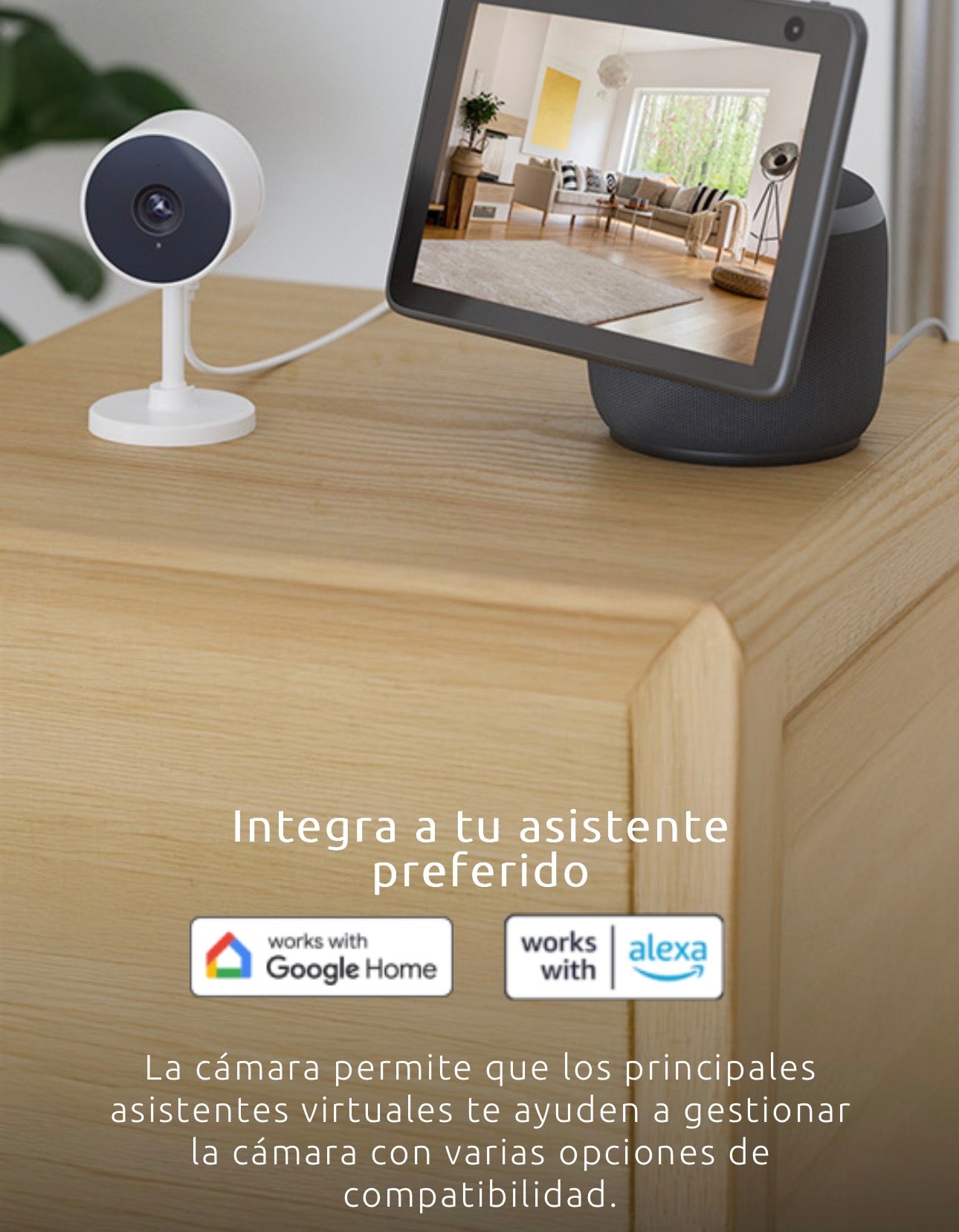Cámara inteligente Wi-Fi NHC-IF10